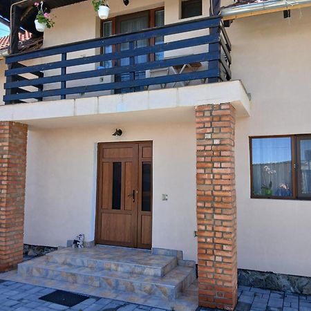 Casa Loredana Cîrţişoara エクステリア 写真
