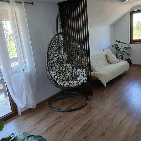 Casa Loredana Cîrţişoara エクステリア 写真