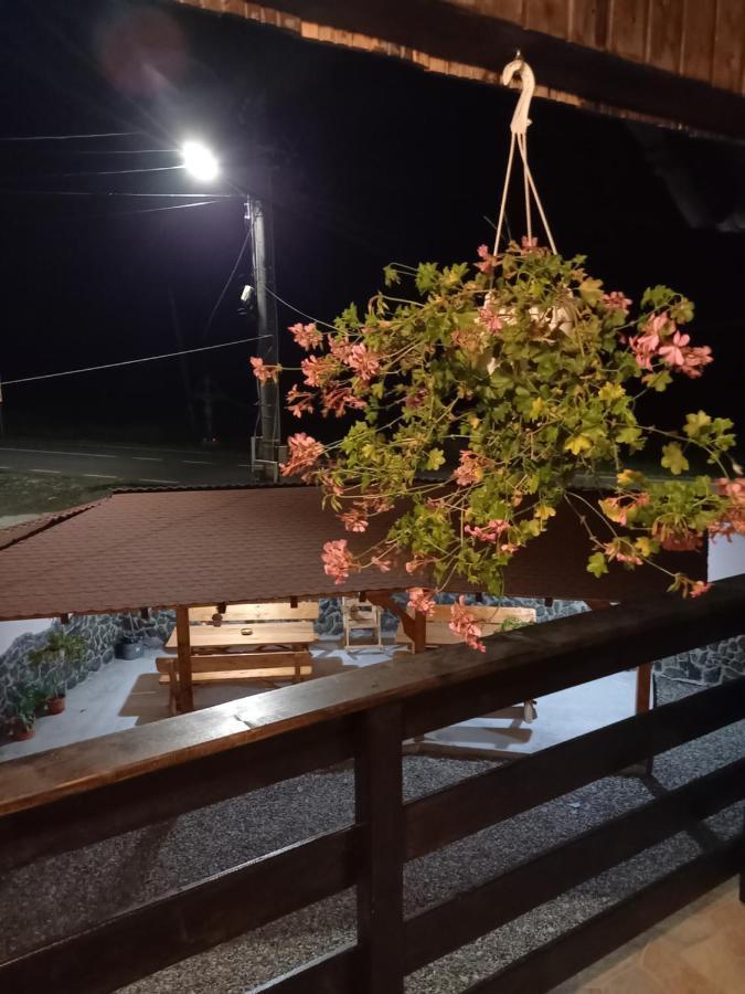 Casa Loredana Cîrţişoara エクステリア 写真