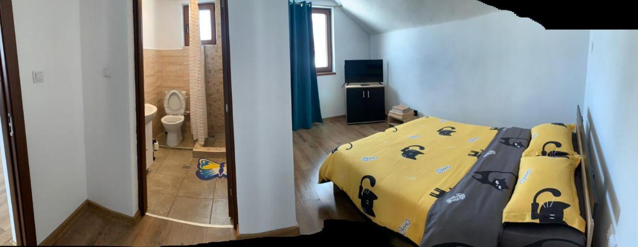 Casa Loredana Cîrţişoara エクステリア 写真