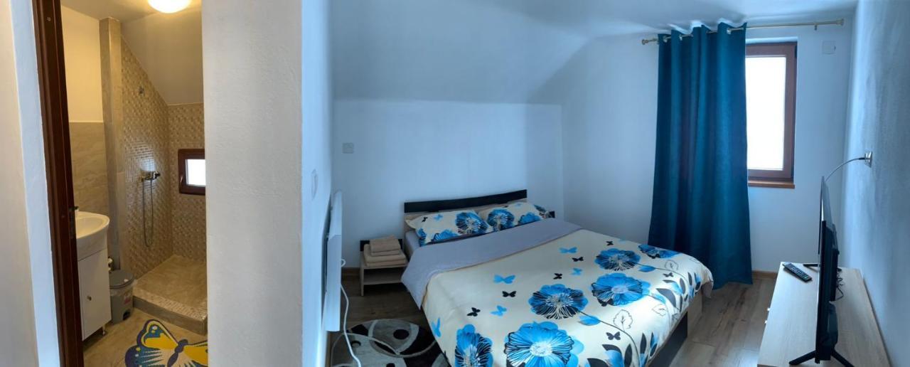 Casa Loredana Cîrţişoara エクステリア 写真