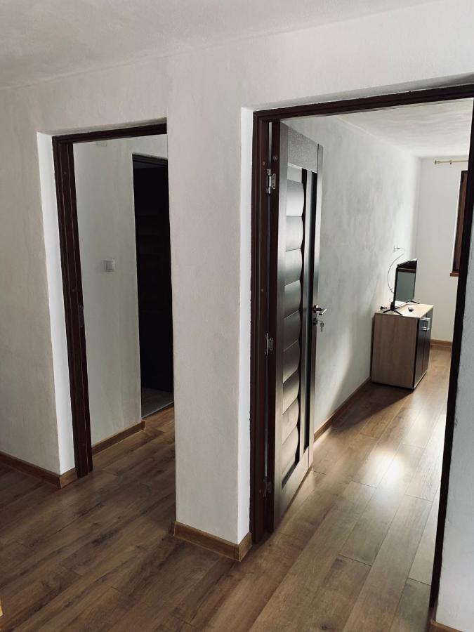 Casa Loredana Cîrţişoara エクステリア 写真