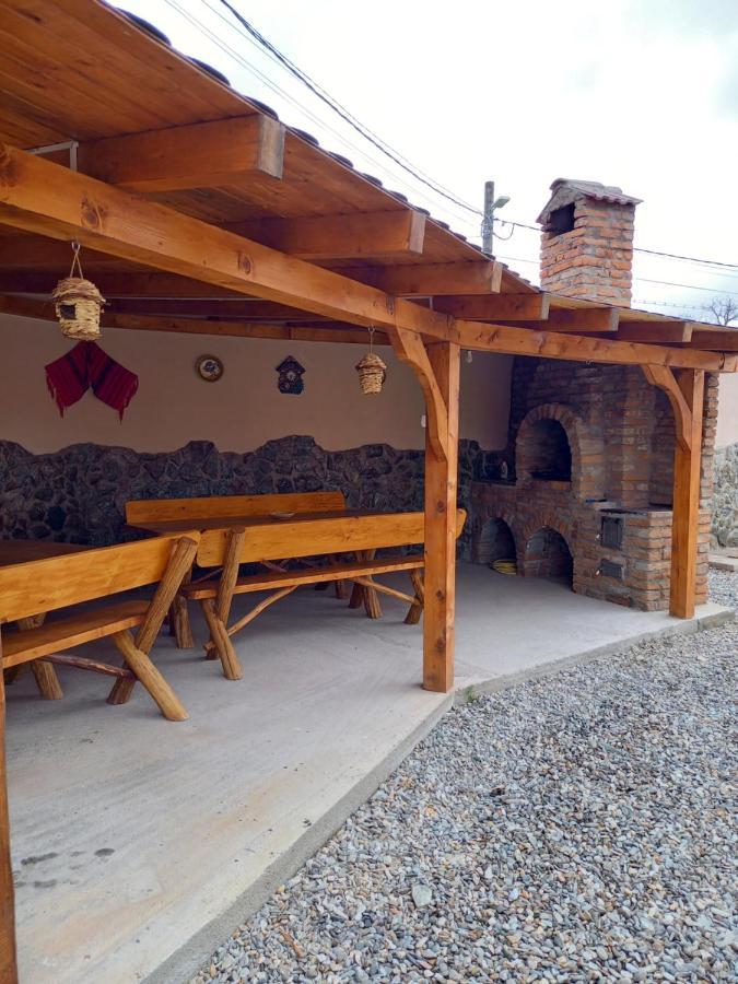 Casa Loredana Cîrţişoara エクステリア 写真