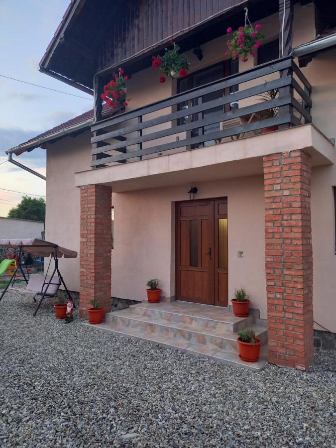 Casa Loredana Cîrţişoara エクステリア 写真