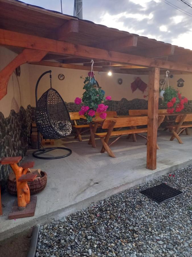 Casa Loredana Cîrţişoara エクステリア 写真