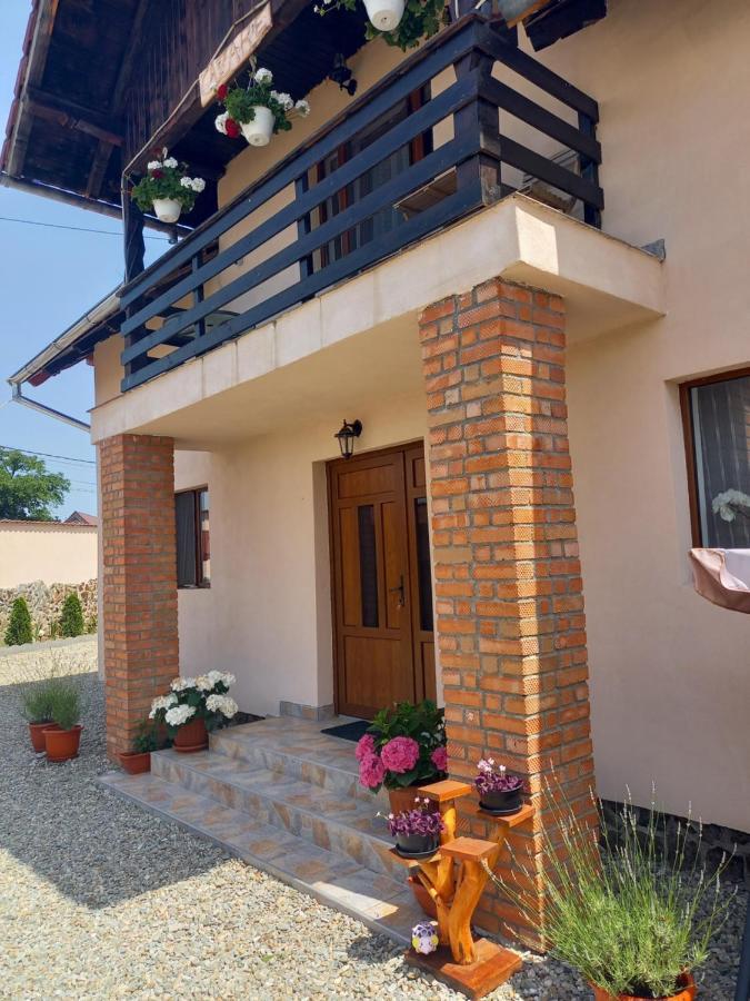 Casa Loredana Cîrţişoara エクステリア 写真