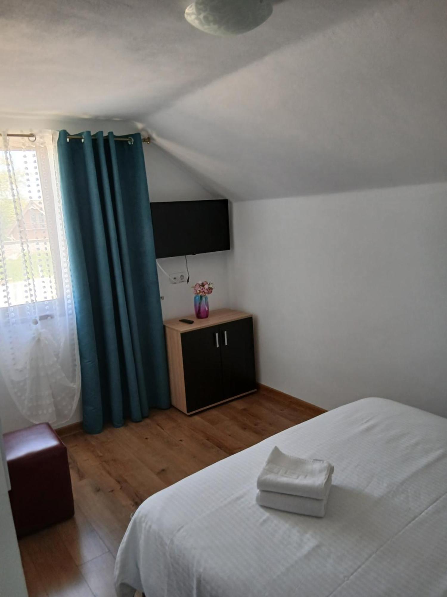 Casa Loredana Cîrţişoara エクステリア 写真